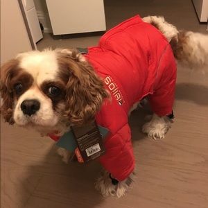 Helios Dog Cold Weather Jacket-X-Large size
